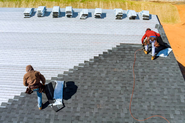 Best Gutter Installation and Repair  in Grayvle, IL